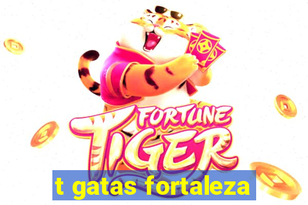 t gatas fortaleza